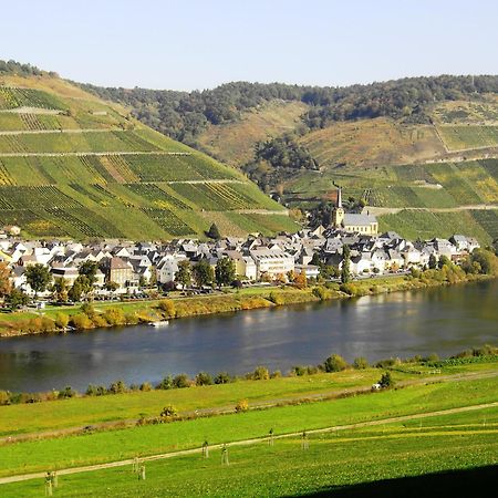 Weinstube Pension Moselbluemchen زلتنغن راختخ المظهر الخارجي الصورة